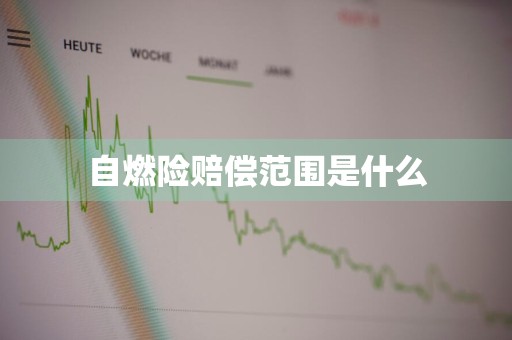 自燃险赔偿范围是什么
