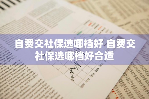 自费交社保选哪档好 自费交社保选哪档好合适