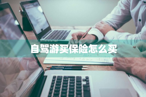 自驾游买保险怎么买