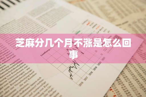 芝麻分几个月不涨是怎么回事