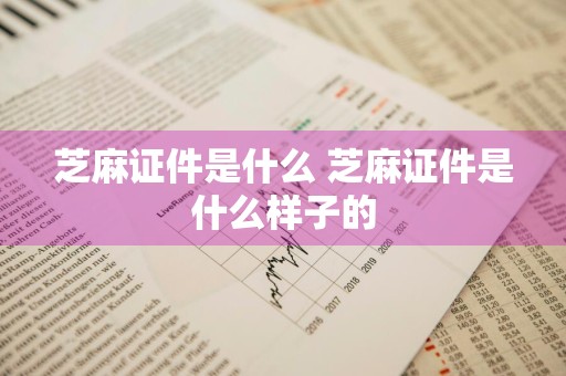 芝麻证件是什么 芝麻证件是什么样子的