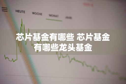 芯片基金有哪些 芯片基金有哪些龙头基金