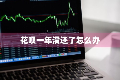 花呗一年没还了怎么办