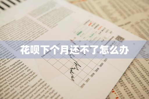 花呗下个月还不了怎么办