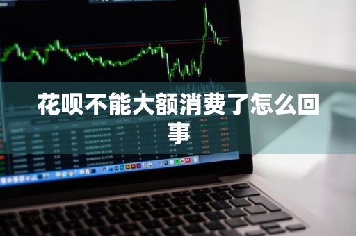 花呗不能大额消费了怎么回事