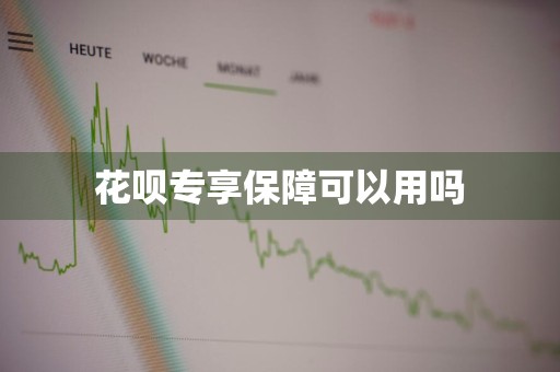 花呗专享保障可以用吗