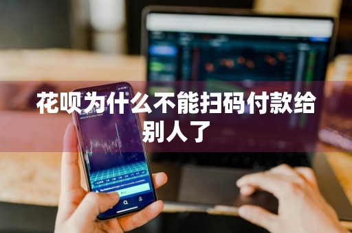 花呗为什么不能扫码付款给别人了