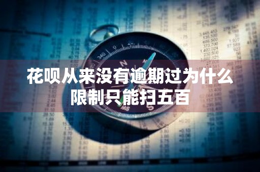 花呗从来没有逾期过为什么限制只能扫五百
