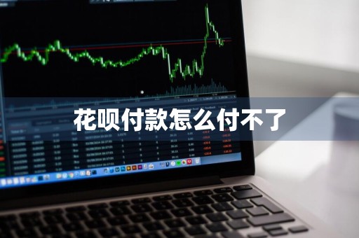花呗付款怎么付不了