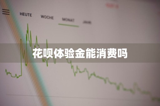 花呗体验金能消费吗