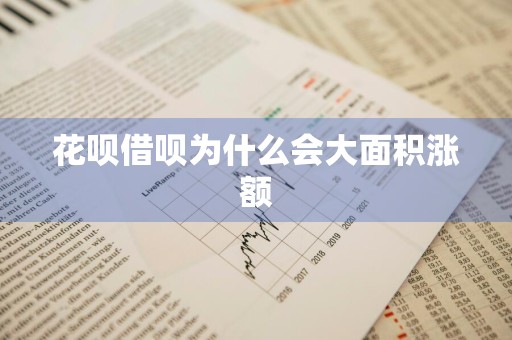 花呗借呗为什么会大面积涨额