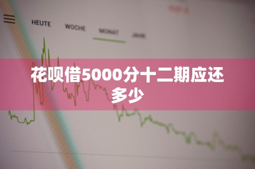 花呗借5000分十二期应还多少