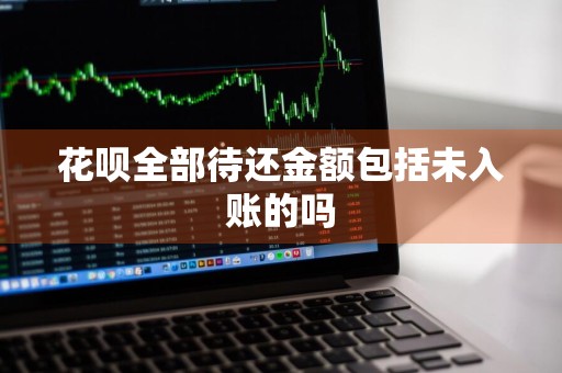花呗全部待还金额包括未入账的吗