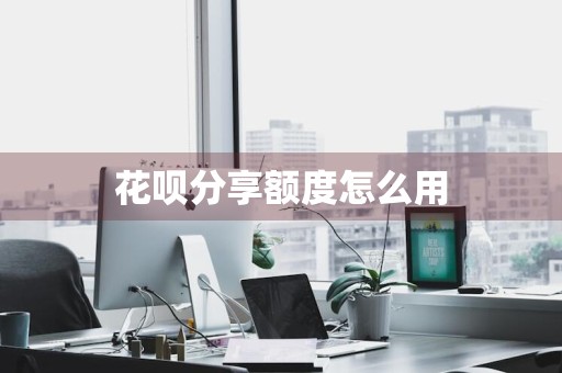 花呗分享额度怎么用