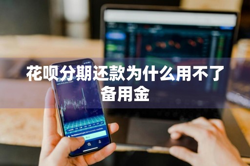 花呗分期还款为什么用不了备用金