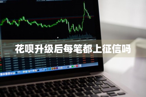 花呗升级后每笔都上征信吗