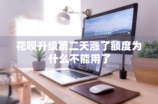 花呗升级第二天涨了额度为什么不能用了