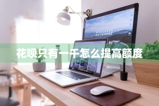 花呗只有一千怎么提高额度