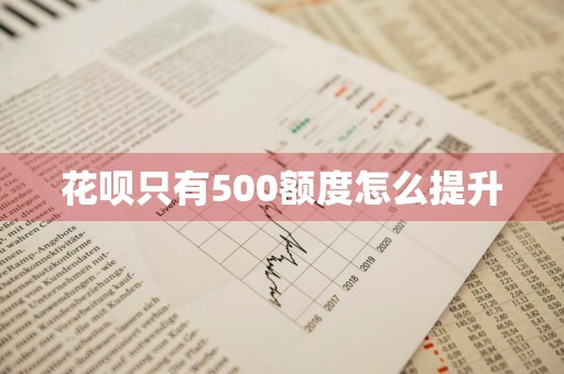 花呗只有500额度怎么提升