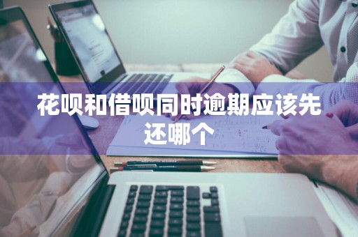 花呗和借呗同时逾期应该先还哪个