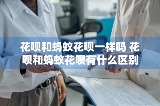 花呗和蚂蚁花呗一样吗 花呗和蚂蚁花呗有什么区别