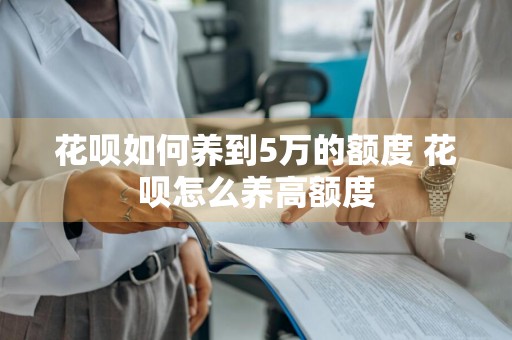 花呗如何养到5万的额度 花呗怎么养高额度