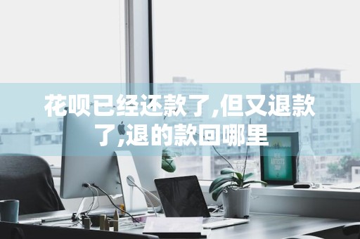 花呗已经还款了,但又退款了,退的款回哪里