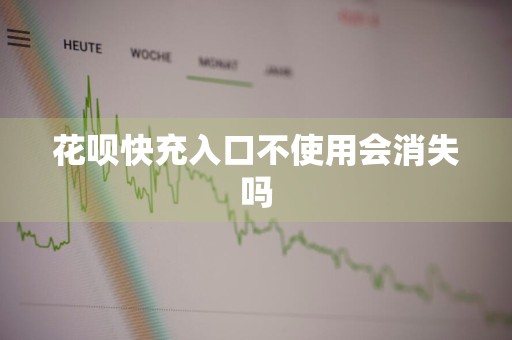 花呗快充入口不使用会消失吗
