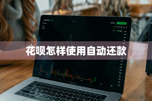 花呗怎样使用自动还款