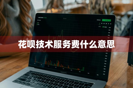 花呗技术服务费什么意思