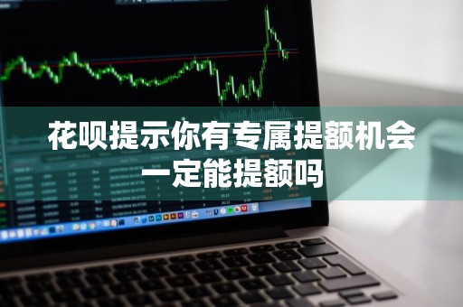 花呗提示你有专属提额机会一定能提额吗
