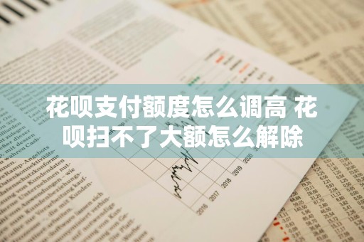 花呗支付额度怎么调高 花呗扫不了大额怎么解除