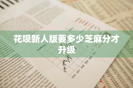花呗新人版要多少芝麻分才升级