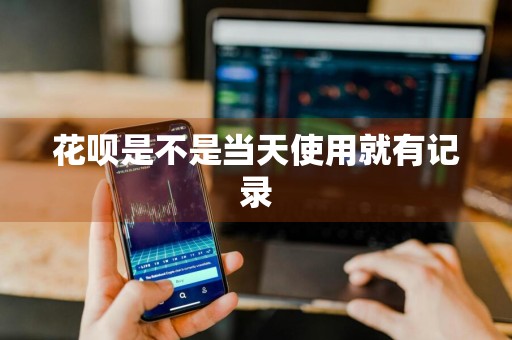 花呗是不是当天使用就有记录