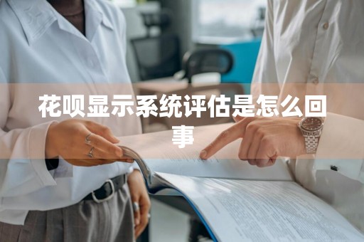 花呗显示系统评估是怎么回事