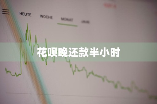 花呗晚还款半小时
