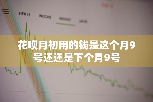 花呗月初用的钱是这个月9号还还是下个月9号