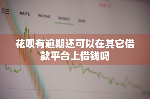 花呗有逾期还可以在其它借款平台上借钱吗