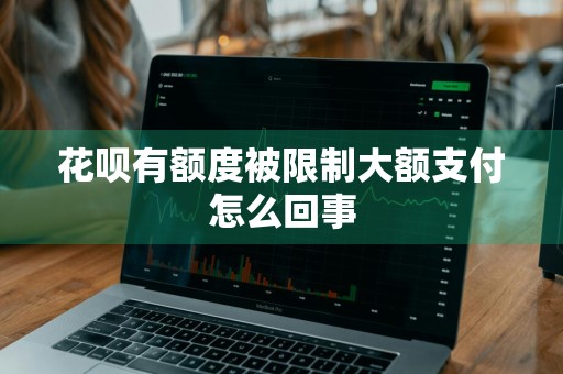 花呗有额度被限制大额支付怎么回事