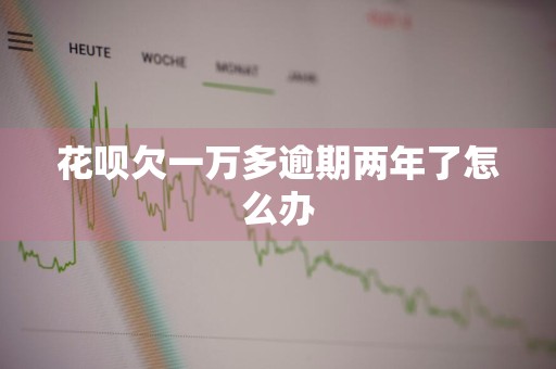 花呗欠一万多逾期两年了怎么办