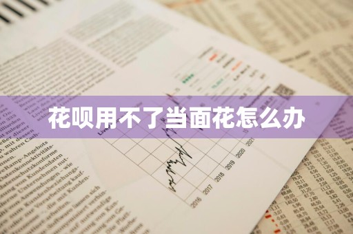花呗用不了当面花怎么办