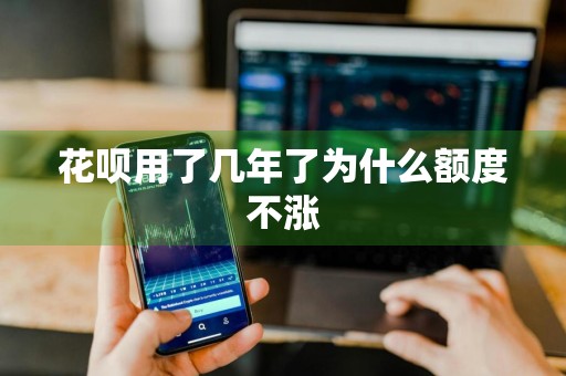 花呗用了几年了为什么额度不涨