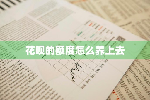 花呗的额度怎么养上去