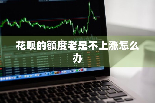 花呗的额度老是不上涨怎么办