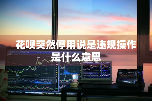 花呗突然停用说是违规操作是什么意思