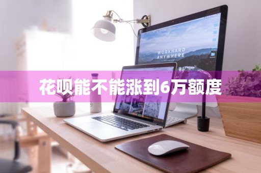 花呗能不能涨到6万额度