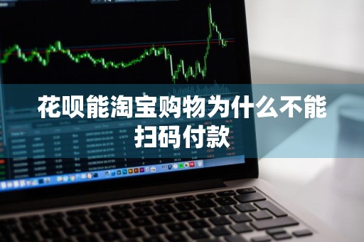 花呗能淘宝购物为什么不能扫码付款
