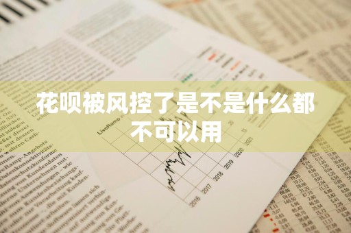 花呗被风控了是不是什么都不可以用