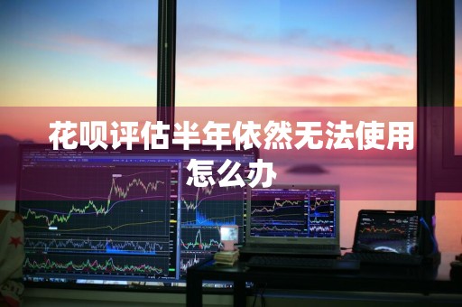 花呗评估半年依然无法使用怎么办