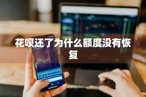 花呗还了为什么额度没有恢复
